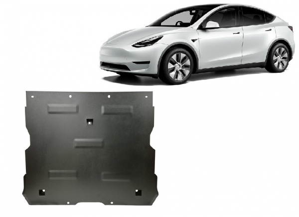 Scut auto faţă Tesla Model Y AWD